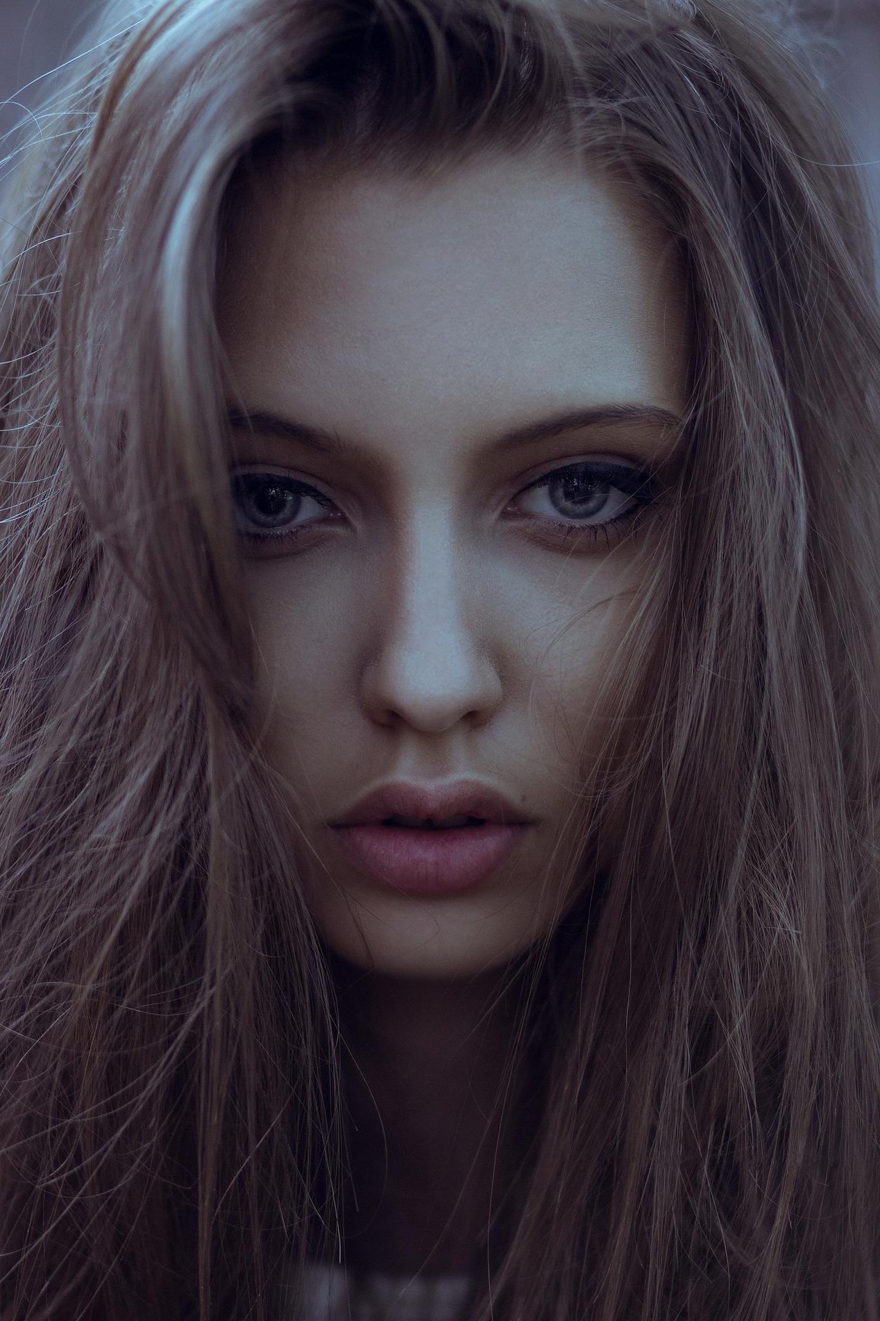 Responsável legal AI-Climb